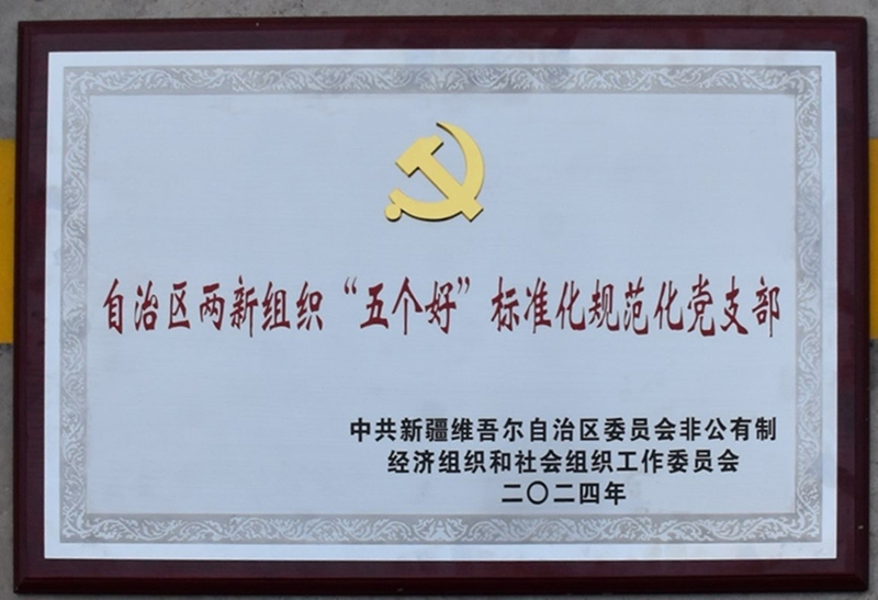 自治区两新组织“五个好”标准化规范化党支部